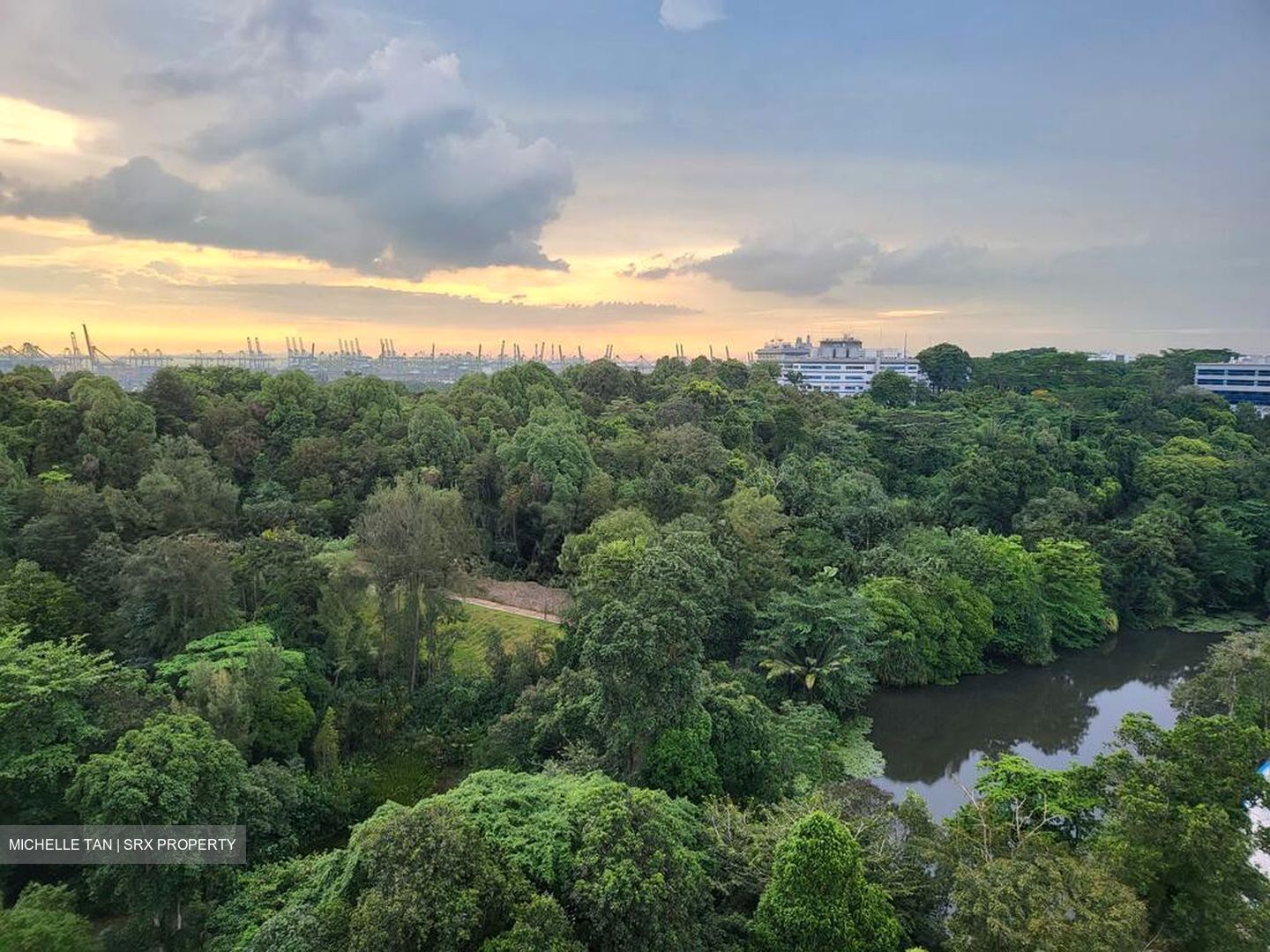 Normanton Park (D5), Apartment #497824371